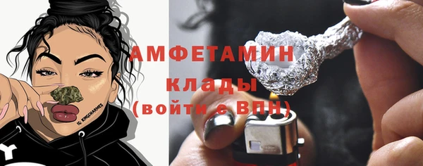 прущие грибы Ростов
