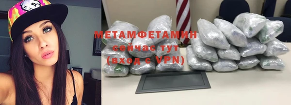 прущие грибы Ростов
